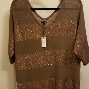 Express V Neck Sweater